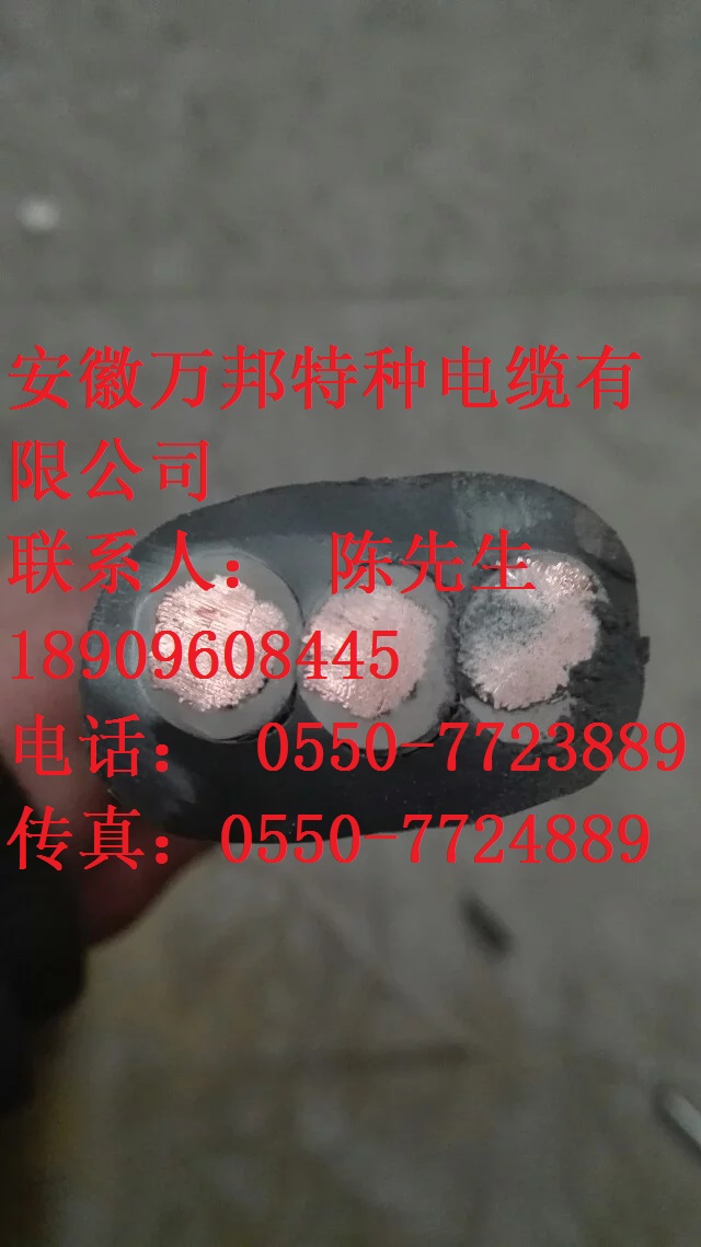 ���ױ����&nbsp;YCB&nbsp;YCBP